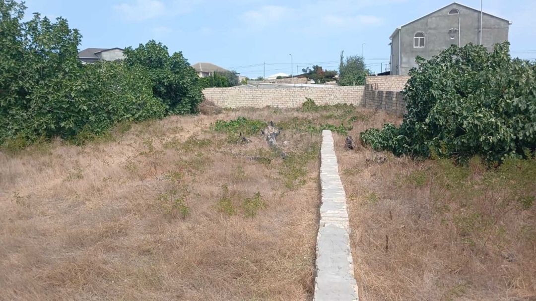 Satılır torpaq 10 sot — Torpaq, Bakı (6)