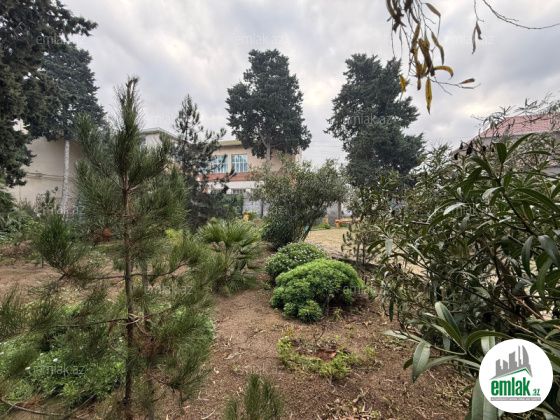 Satılır 24 sot torpaq Mərdəkan — Torpaq (2)