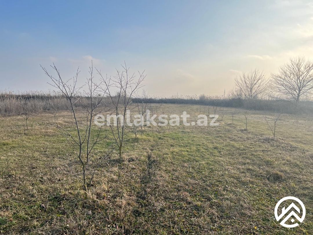 Satılır torpaq 75sot, Göyçay — Torpaq, Göyçay (2)