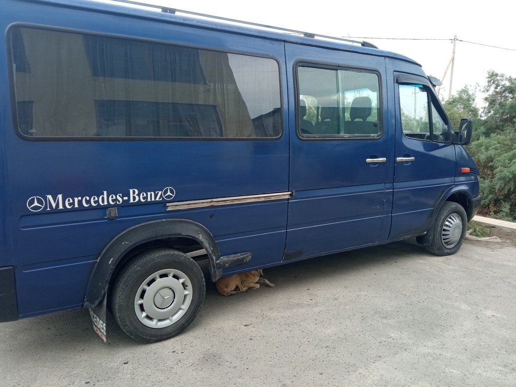 Mercedes Sprinter 312, 2.2 L, 2003 il, 200 000 km 50-DX-105 — Avtomobillər, Zərdab (6)