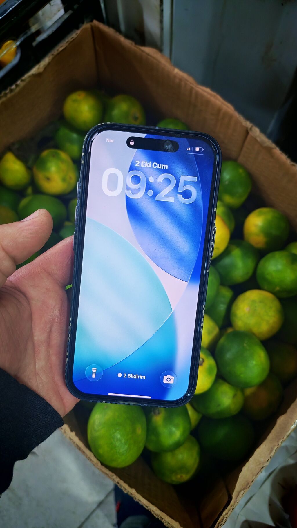 Göy, Face ID — Apple iPhone, Xudat (2)