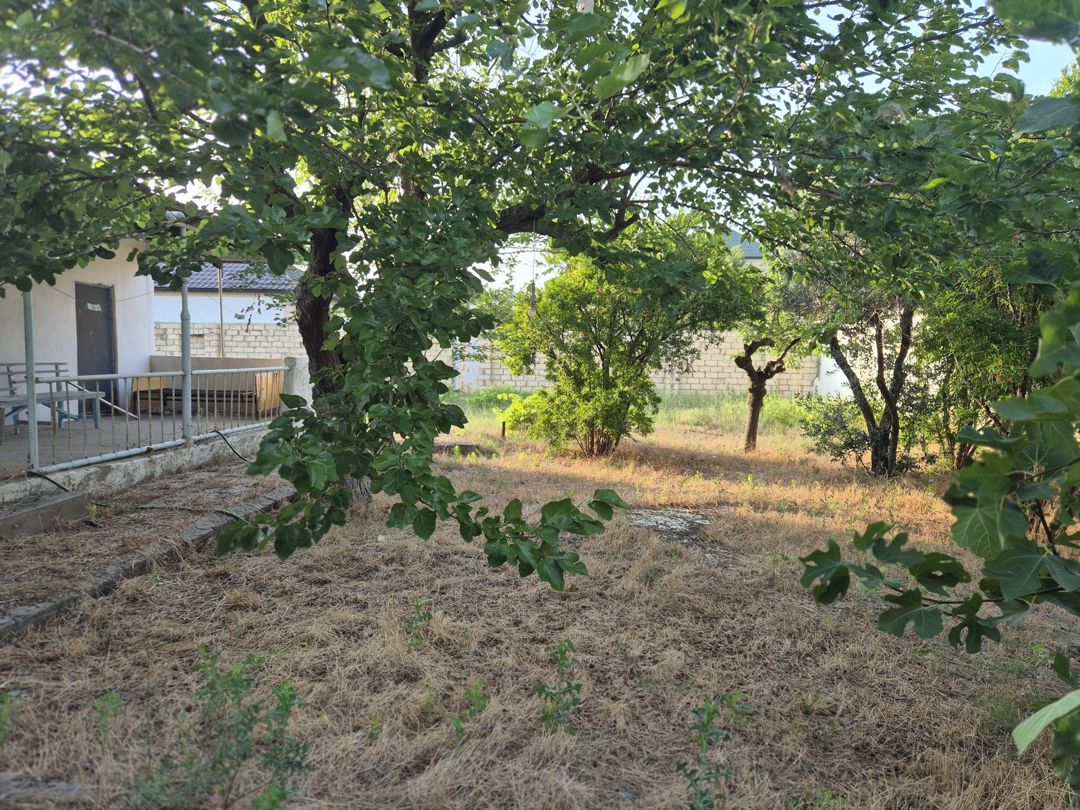 Satılır torpaq 8 sot — Torpaq, Bakı (7)