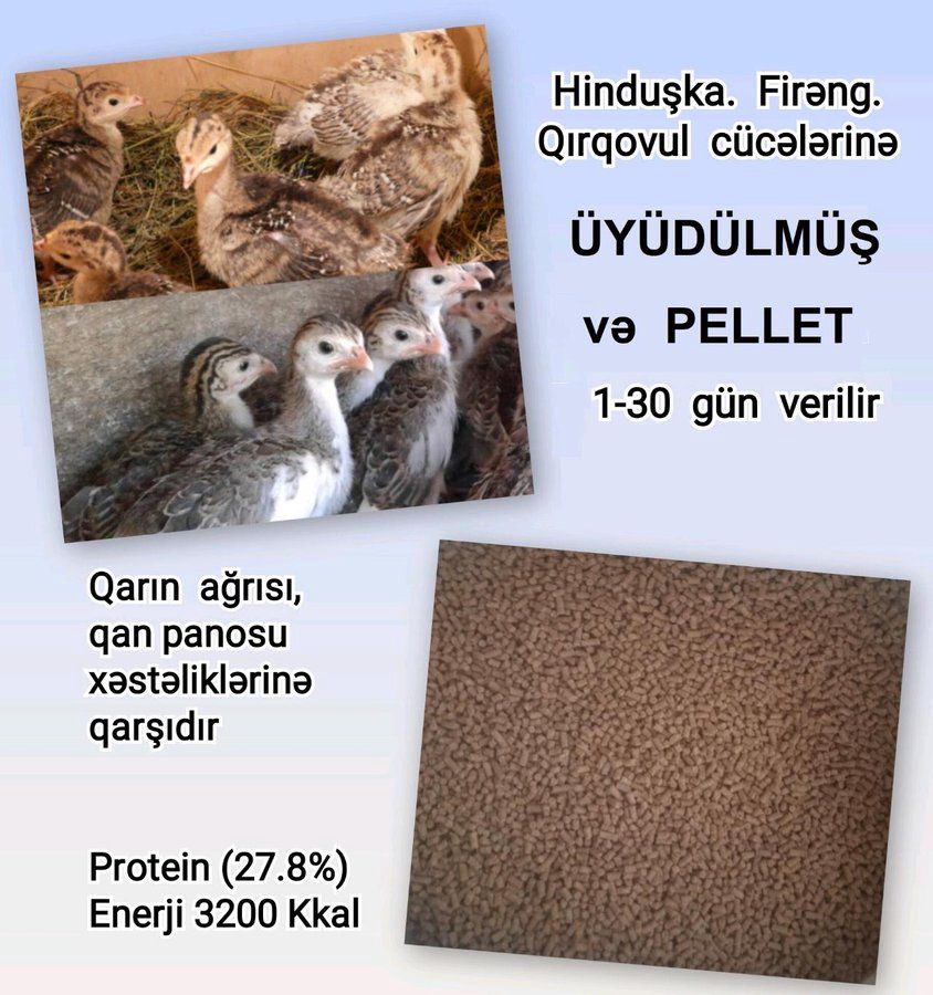 Yüksək proteinli yem — Tibbi avadanlıqlar, Bakı (10)