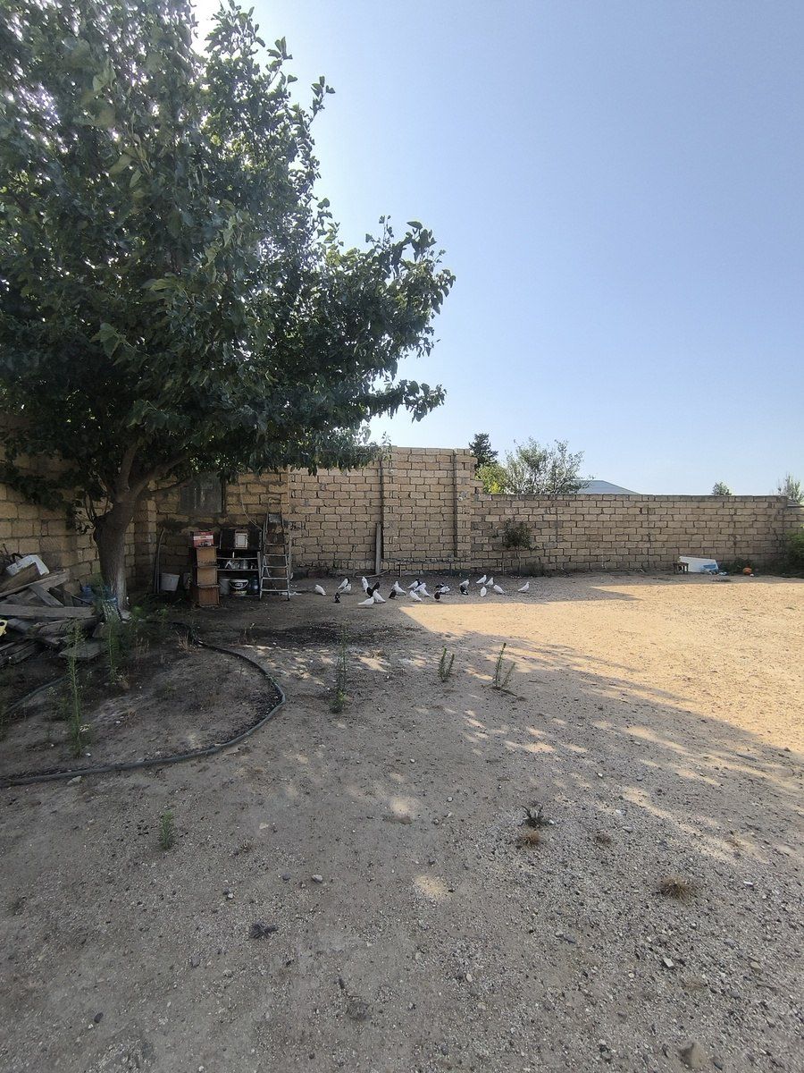 Satılır 3 otaqlı həyət evi/bağ evi 120 m² — Ev, villa, Bakı (5)