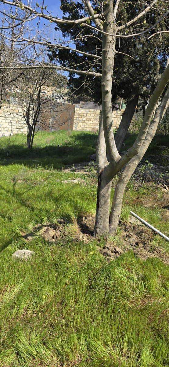 Satılır torpaq 9 sot — Torpaq, Bakı (2)