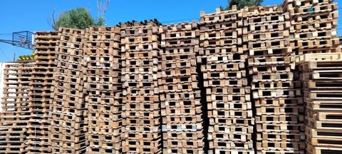 Pallet, 800 х 1200 sm, Ödənişli çatdırılma — Bakı