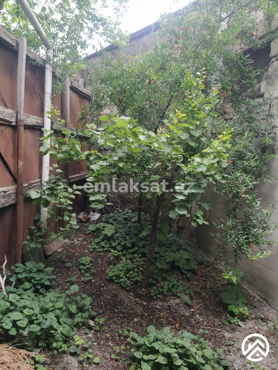 Satılır 4 otaq həyət evi / bağ evi 80 m², Bakıxanov — Ev, villa, Bakı (11)