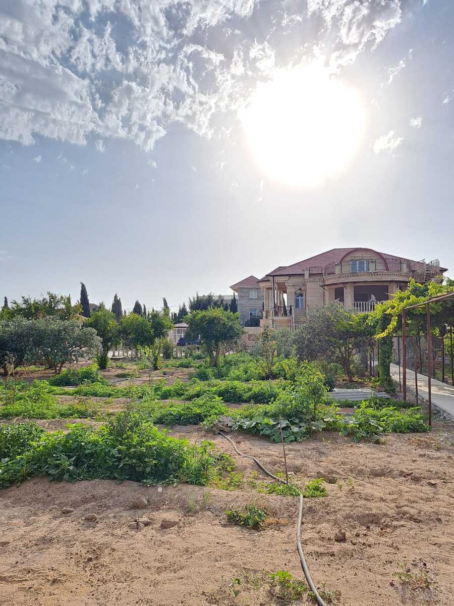 İcarəyə verilir 8 otaqlı həyət evi/bağ evi 500 m² — Ev, villa, Bakı (6)