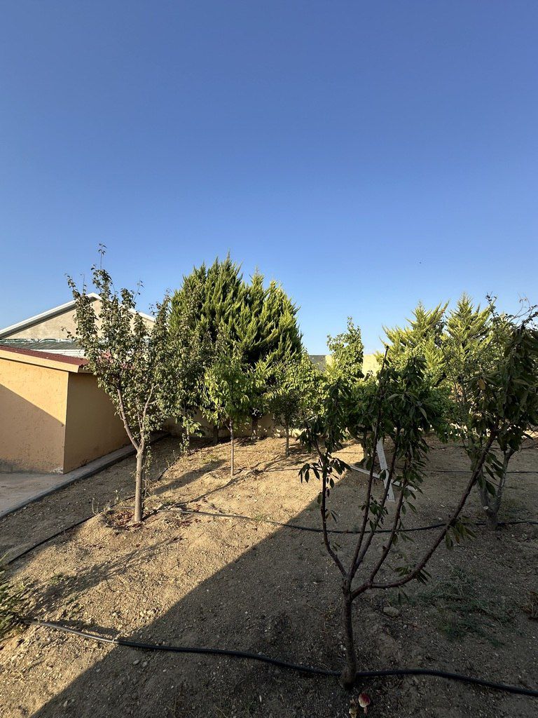Satılır torpaq 12 sot — Torpaq, Bakı (5)