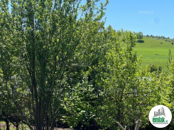 Satılır 6 sot torpaq İsmayıllı — Torpaq (8)