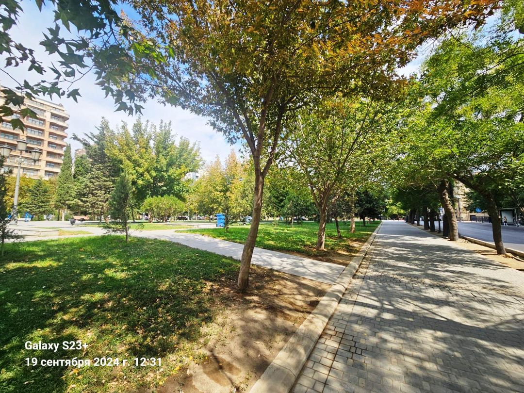 Satılır 4 otaqlı yeni tikili 180 m² — Mənzil, Bakı (5)