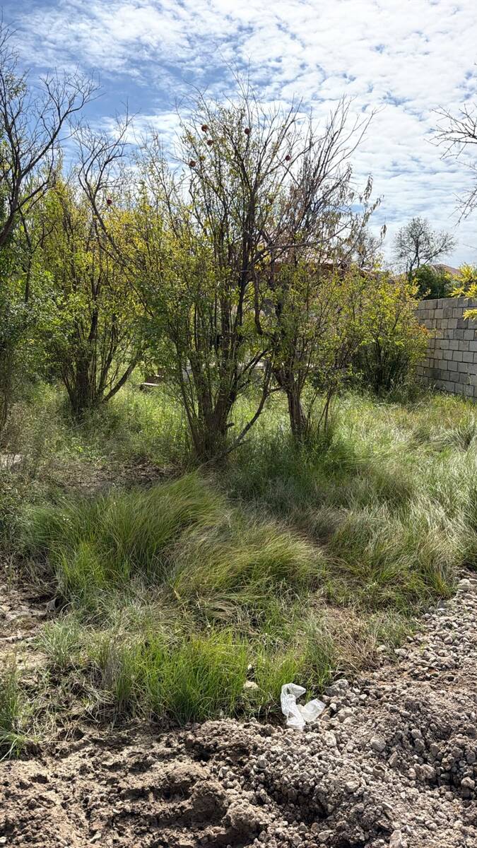 Satılır 1 otaqlı həyət evi/bağ evi 40 m² — Ev, villa, Bakı (11)