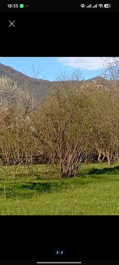 Torpaq sahəsi, 90 sot, Tikinti təyinatlı, Kupçalı, Qəbələ — Torpaq, Qəbələ (2)
