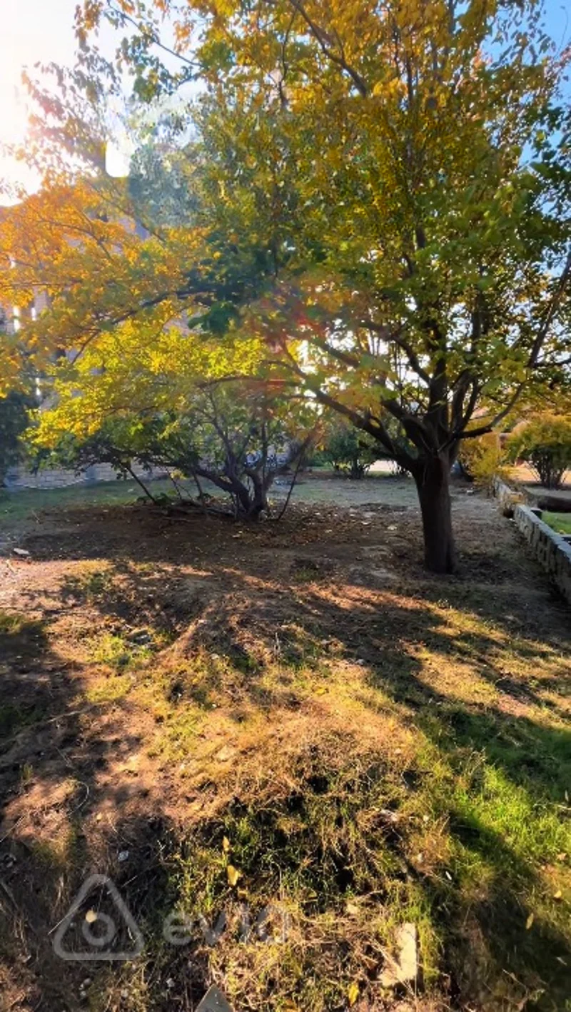 Torpaq sahəsi, 11 sot, Şıxov — Torpaq, Bakı (7)