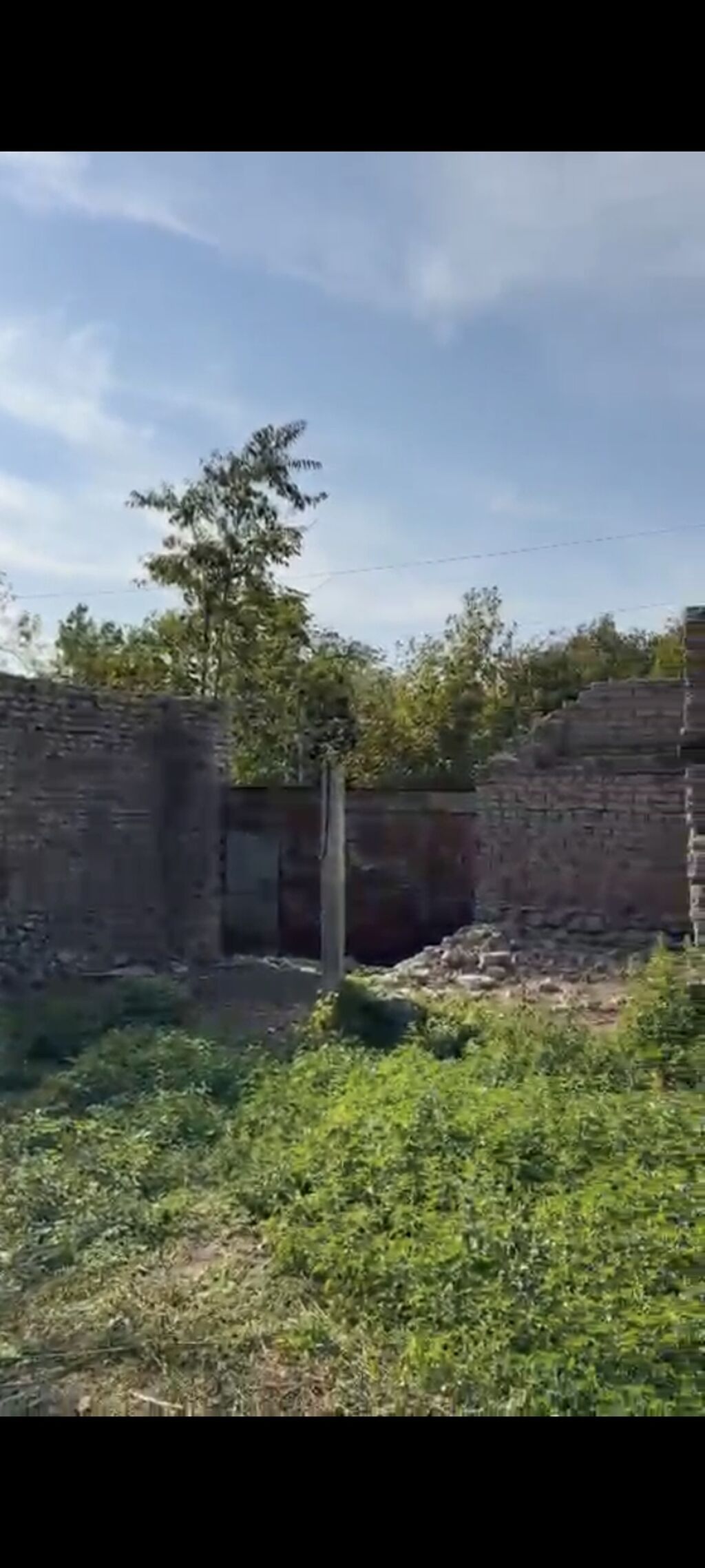 21 sot, Tikinti, Mülkiyyətçi, Kupça (Çıxarış) — Torpaq, Qəbələ (5)
