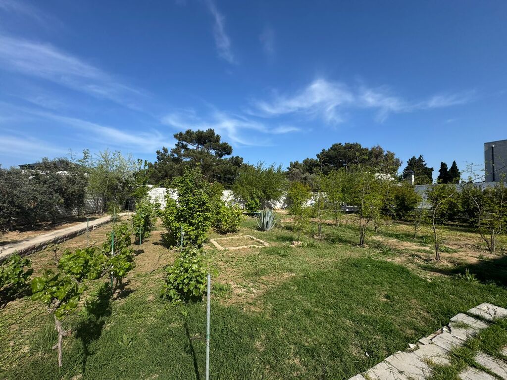 Satılır torpaq 19 sot — Torpaq, Bakı (10)