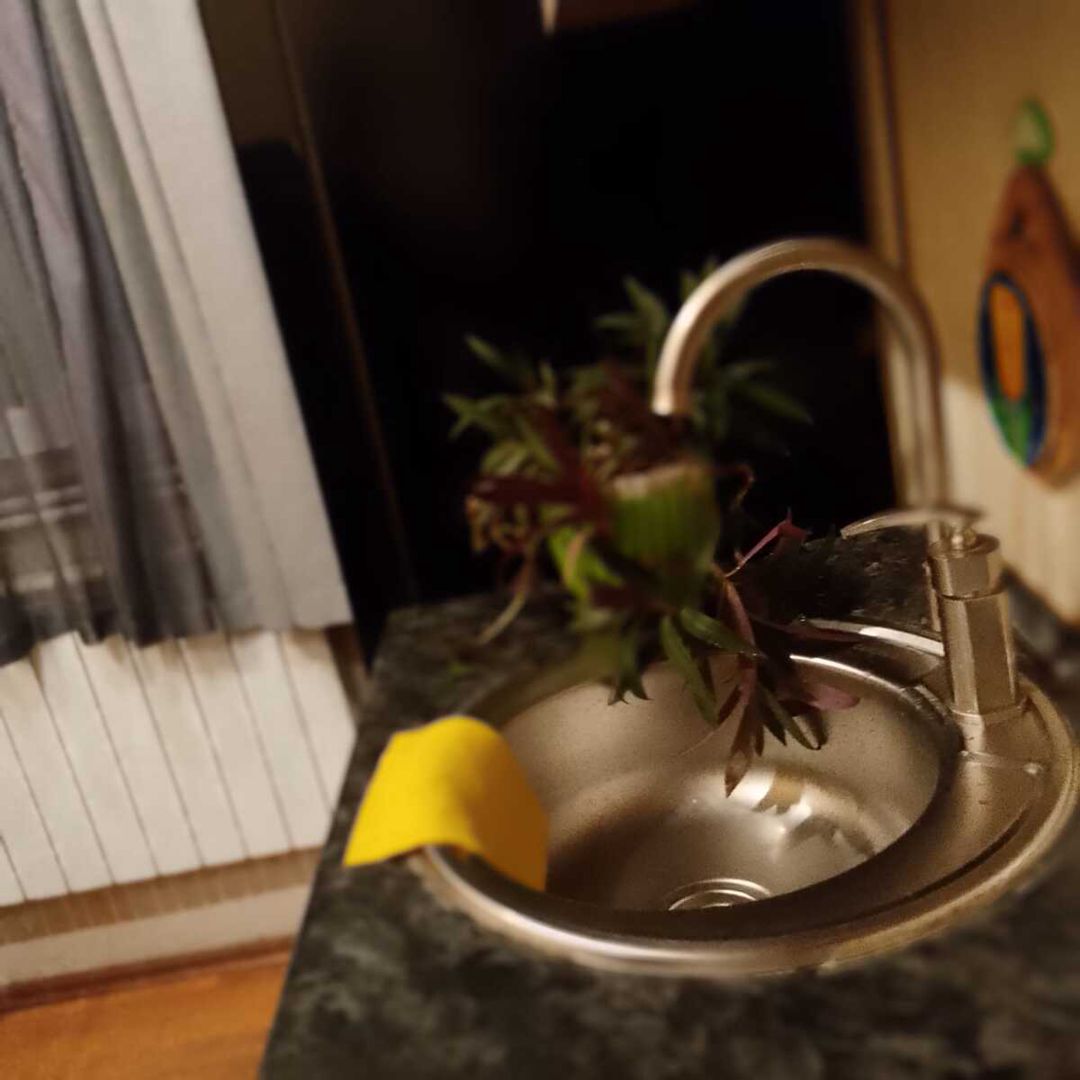 İcarəyə verilir 1 otaqlı köhnə tikili 53 m² — Mənzil, Bakı (6)