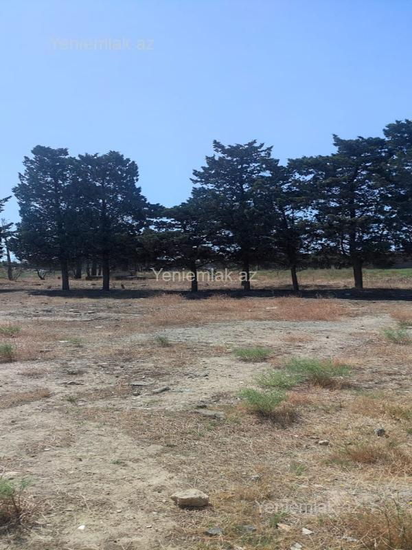 Satılır Torpaq sahəsi, 5 sot, Suraxanı rayonu — Torpaq, Bakı (3)