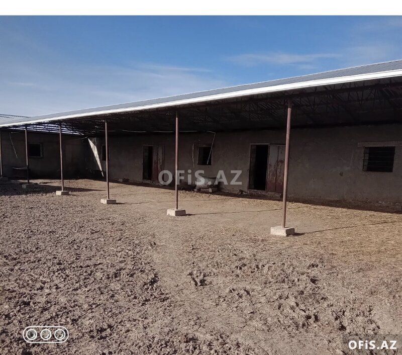 Satılır Salyan, Salyan da, Ferma satılır, 10 otaq, 1000 m² — Ofis, Salyan (5)