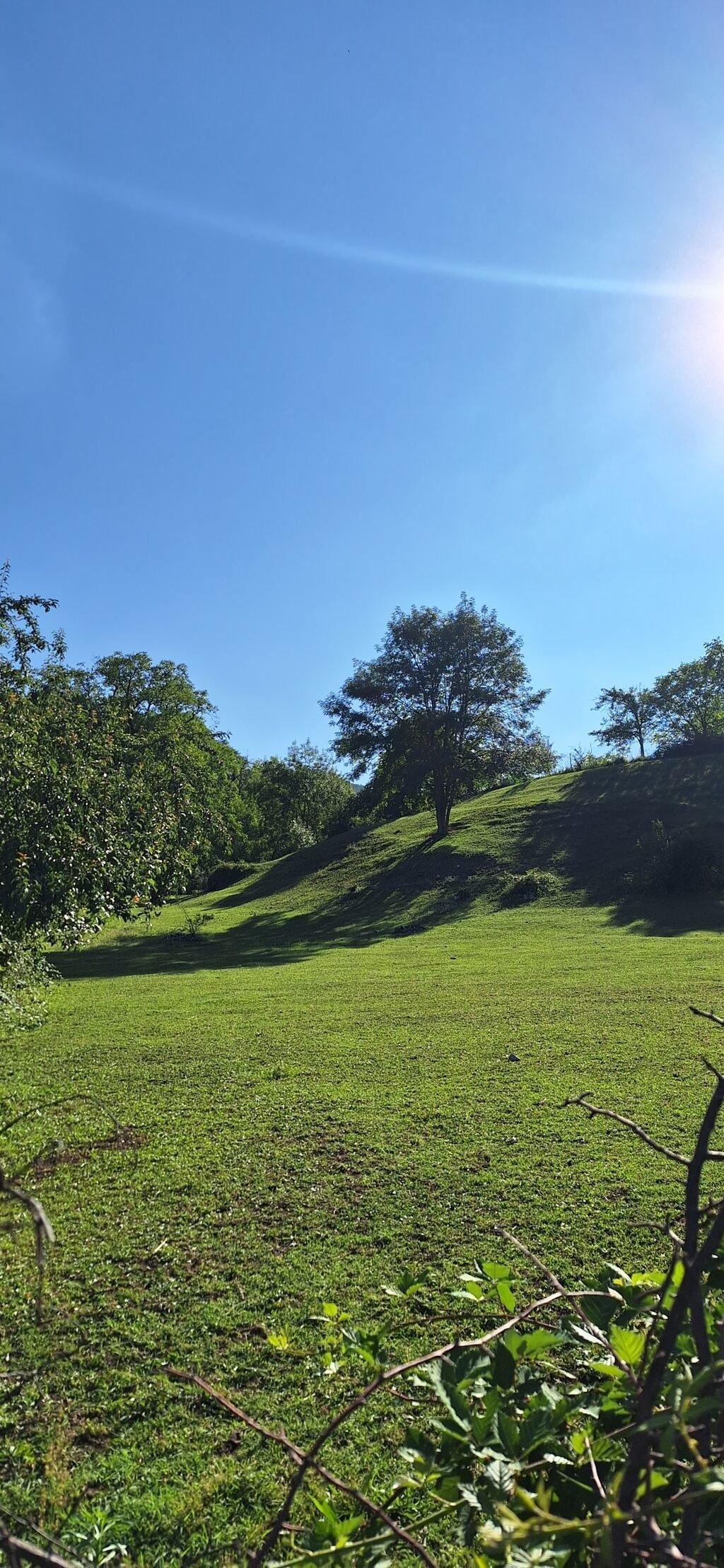4000 sot, Tikinti, Mülkiyyətçi, Kupça (Çıxarış) — Torpaq, İsmayıllı