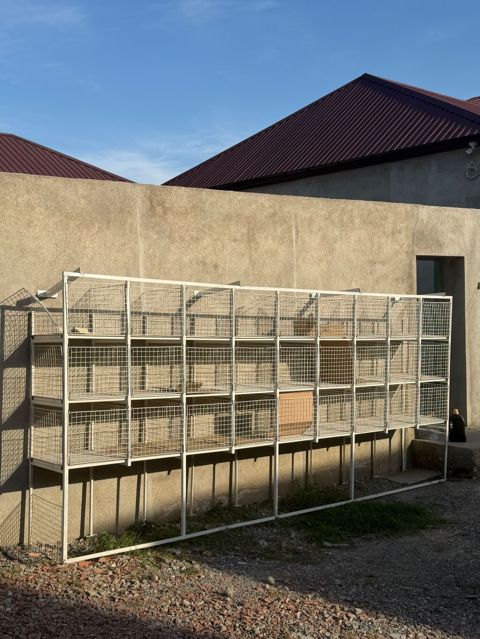 Cütü- 700 manatdır. uzunluğu 4.30 — Xırdalan
