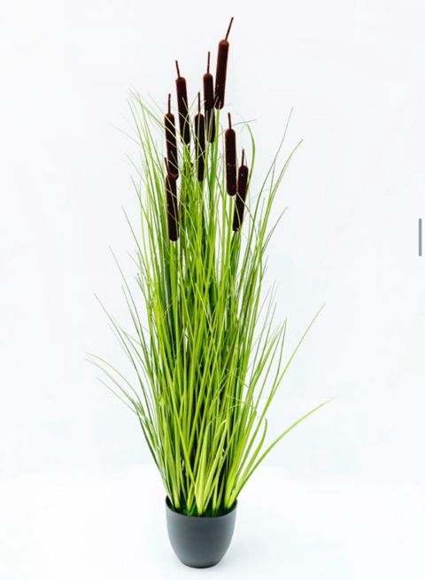 Dekorativ bitki 2679, plastik, yaşıl — Bakı