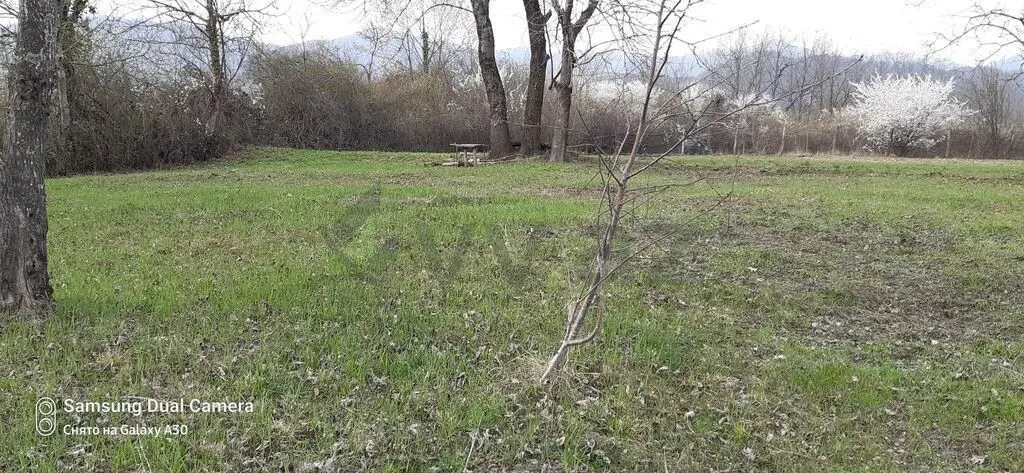 25 sot Torpaq Satılır, Zaqatala — Zaqatala