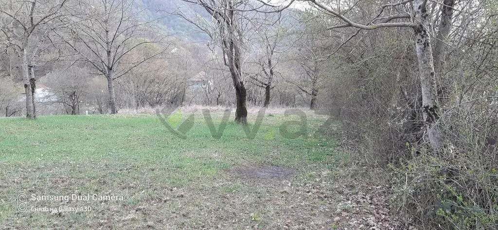 25 sot Torpaq Satılır, Zaqatala — Torpaq, Zaqatala (6)