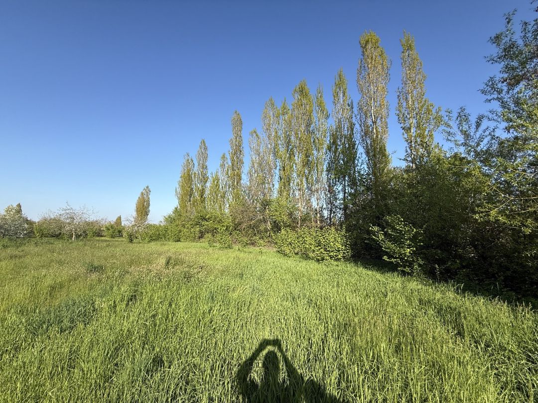 Satılır torpaq 3 sot — Torpaq, Qusar (4)