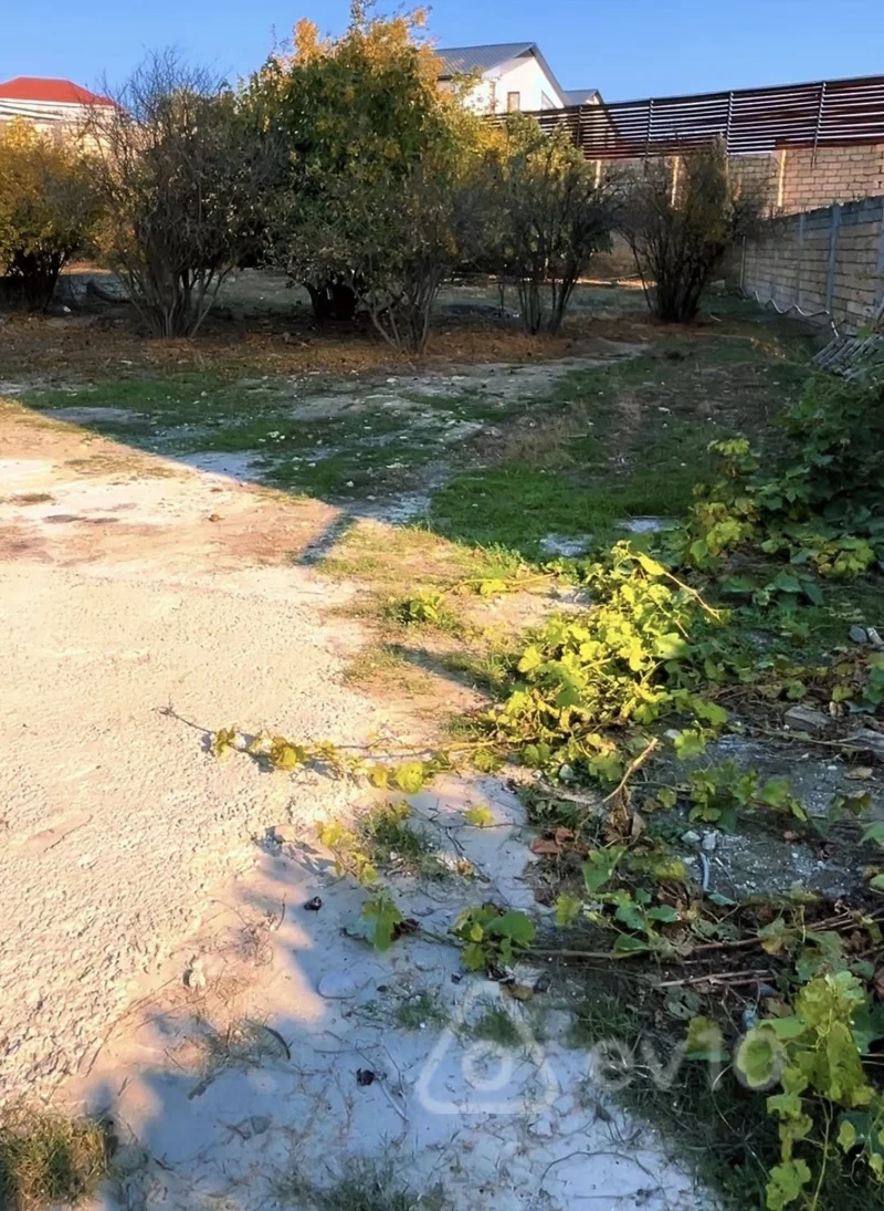 Torpaq sahəsi, 11 sot, Şıxov — Torpaq, Bakı (6)