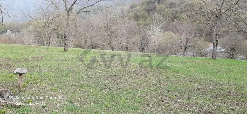 25 sot Torpaq Satılır, Zaqatala — Torpaq, Zaqatala (3)