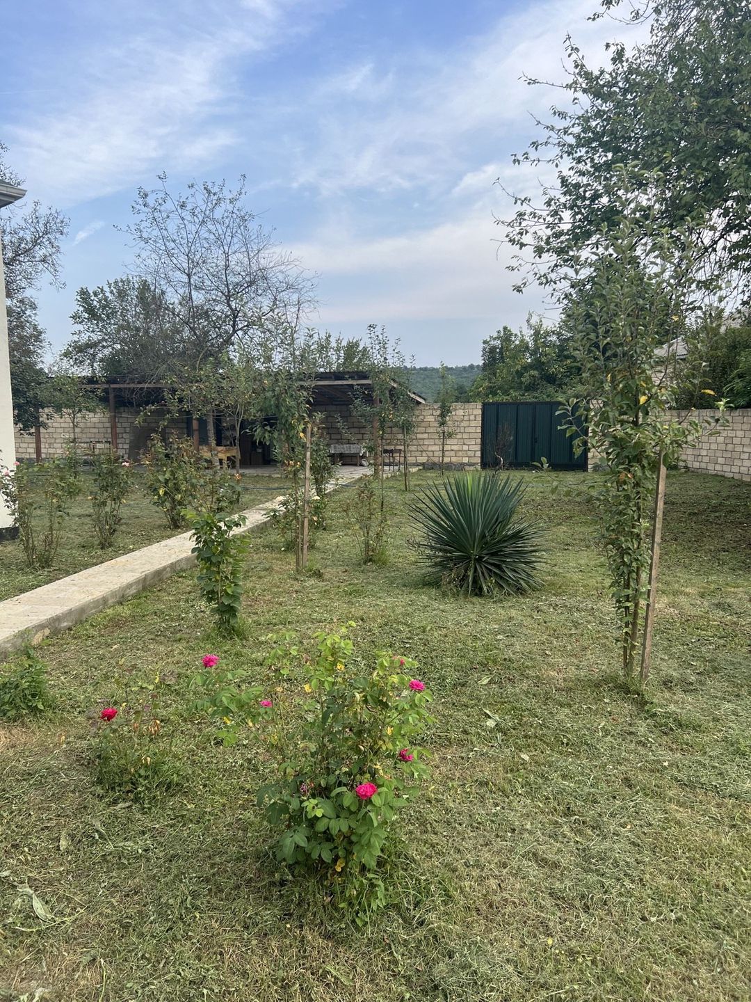 İcarəyə verilir 3 otaqlı həyət evi/bağ evi 100 m² — Ev, villa, Qəbələ (2)