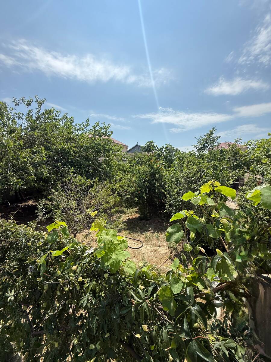 Satılır 7 otaqlı həyət evi/bağ evi 200 m² — Ev, villa, Bakı (4)