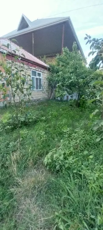 2 otaqlı Həyət evi Satılır, Mingəçevir — Ev, villa, Mingəçevir (2)