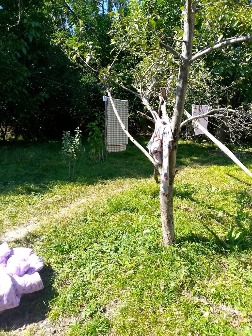 7 otaqlı, 200 kv. m, Kredit yoxdur, Orta təmir — Ev, villa, Qusar (4)