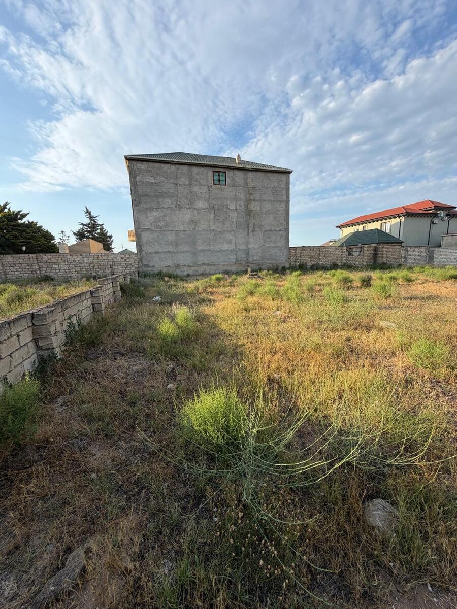 Satılır torpaq 492 sot — Torpaq, Bakı (7)