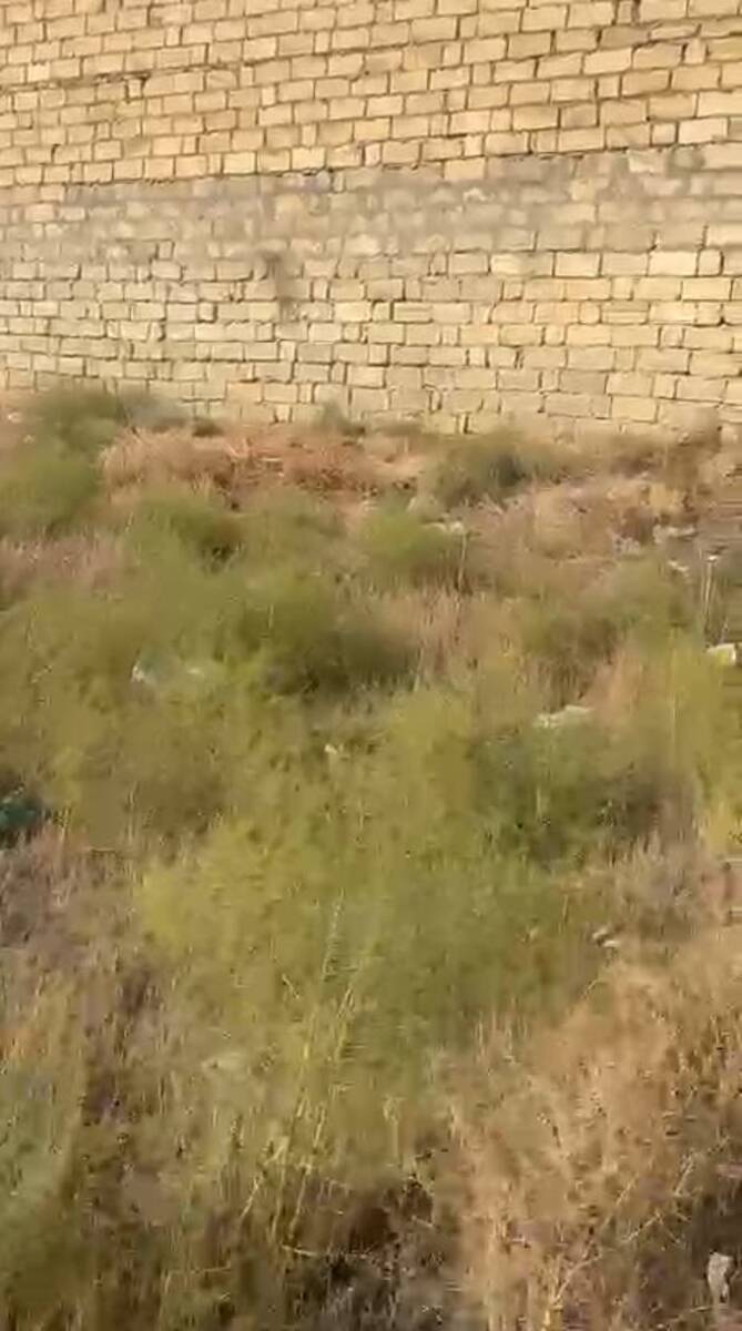 Satılır torpaq 17 sot — Torpaq, Bakı (2)