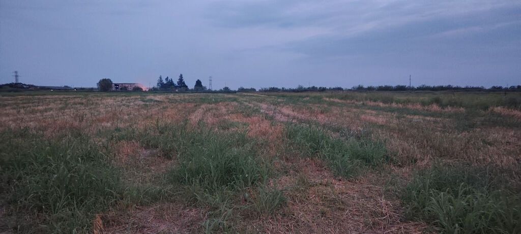 Bərdə rayon alpoud kəndi əkin sahəsi kanal qırağı torpaq Kupçalı sənəd — Torpaq, Bərdə (3)