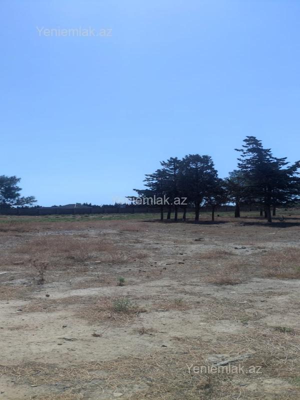 Satılır Torpaq sahəsi, 5 sot, Suraxanı rayonu — Torpaq, Bakı