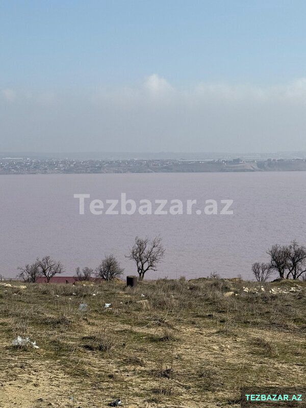 Villa badamin yani torpaq sahesi — Torpaq, Bakı (5)