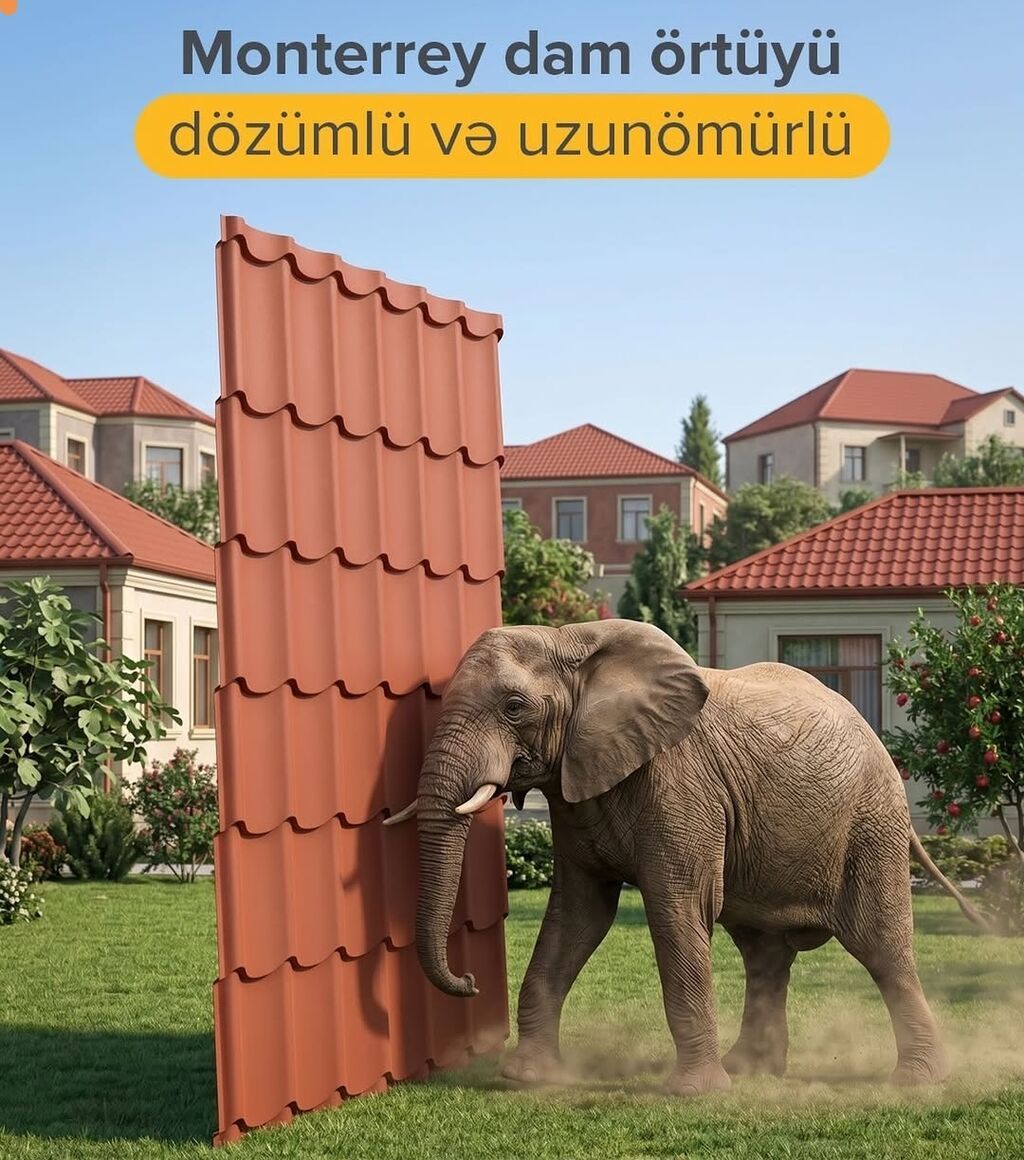 Dam ortukleri zavot — Dam örtükləri, Bakı (2)