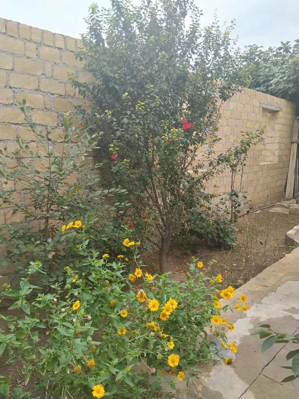 Ev 4 sotda yerləşir, kolidor tipli,1 zal3 yataq otağı, mətbəx, hamam — Ev, villa, Gəncə (7)