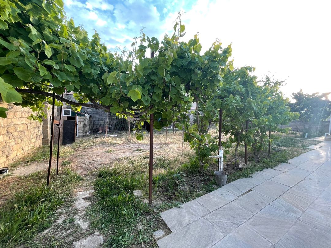 Satılır torpaq 10 sot — Torpaq, Bakı (3)