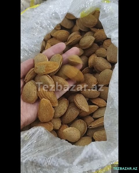 Qabiqli badam — Göygöl