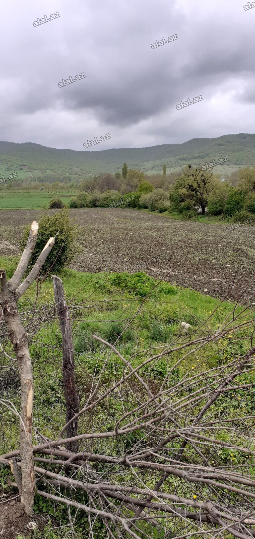 41 sot, Kənd təsərrüfatı, Mülkiyyətçi — Torpaq, Bakı (4)