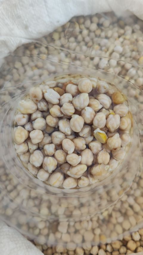 Nohud – quru paxlalı Topdam satiw 2 m Kilo Kilo 2.5 qep - Məhsul — Pirəkəşkül