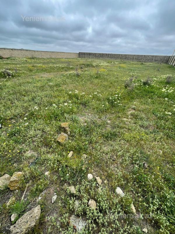 Satılır Torpaq sahəsi, 12 sot, Novxanı — Torpaq, Abşeron (4)