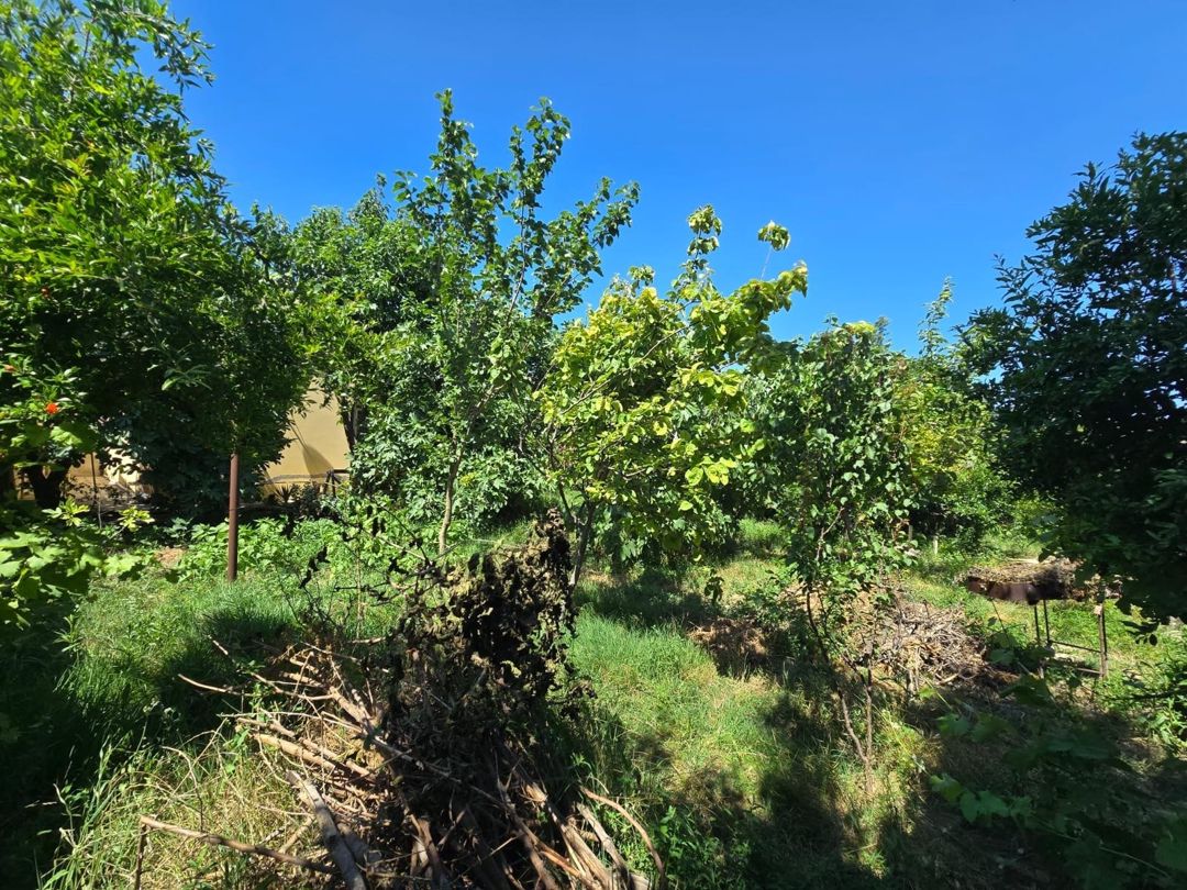 Satılır 4 otaqlı həyət evi/bağ evi 150 m² — Ev, villa, Bakı (3)