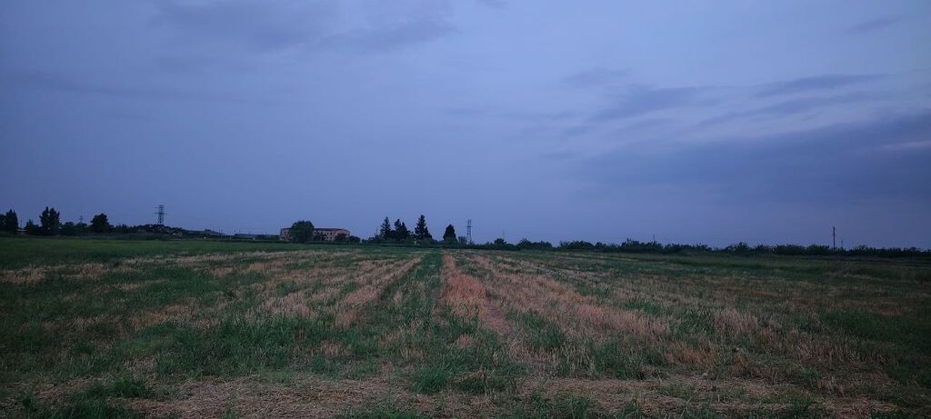 Bərdə rayon alpoud kəndi əkin sahəsi kanal qırağı torpaq Kupçalı sənəd — Torpaq, Bərdə (2)