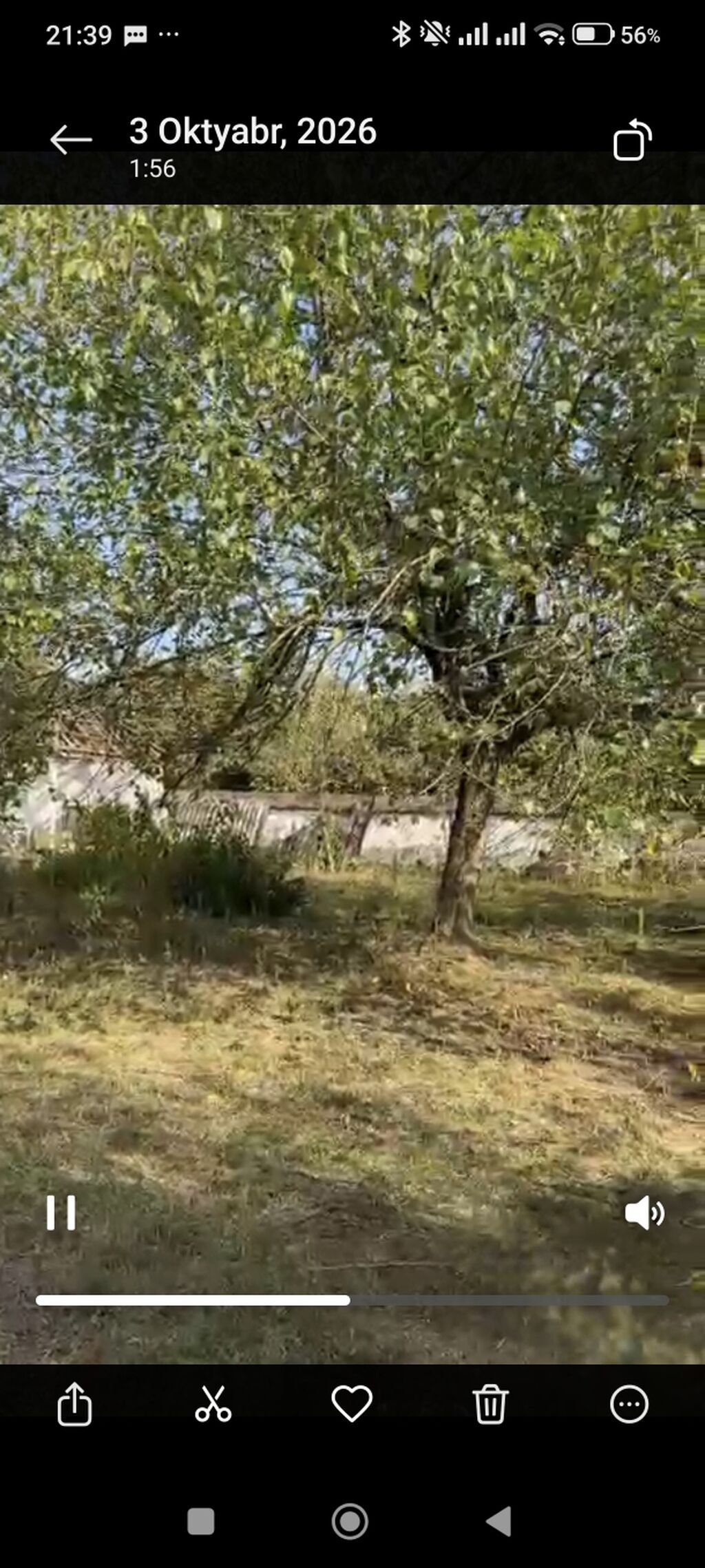 21 sot, Tikinti, Mülkiyyətçi, Kupça (Çıxarış) — Torpaq, Qəbələ (3)